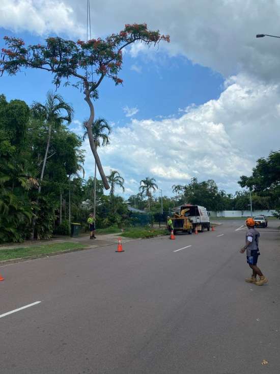 Tree Lopping Darwin