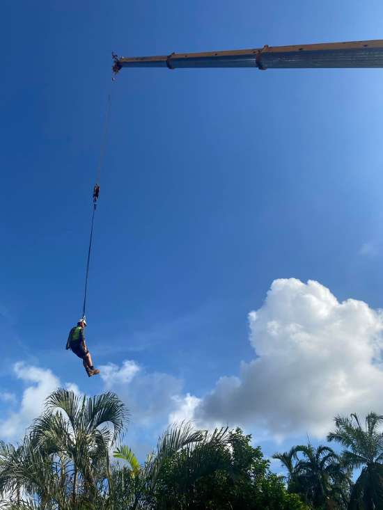 Tree Lopping Darwin