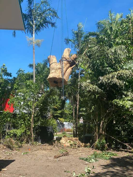 Tree Services Near me