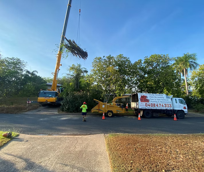 Tree Services