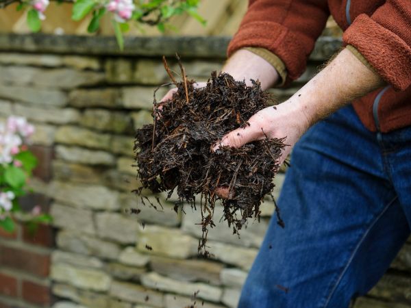 Mulch Delivery Near Me
