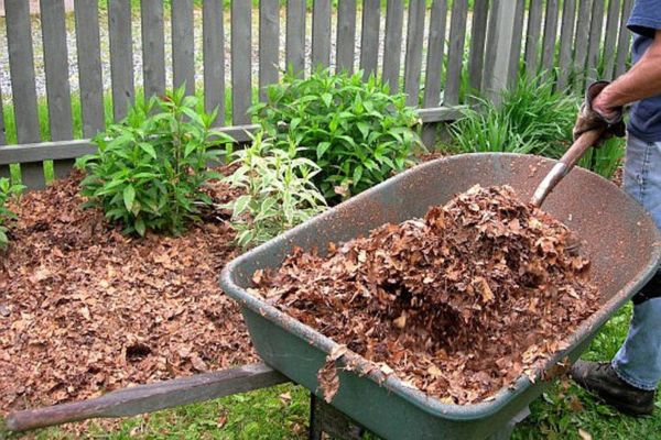Mulch Supplies Darwin Near Me