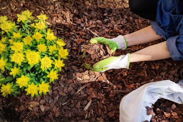 Bark Mulch for Sale Near Me