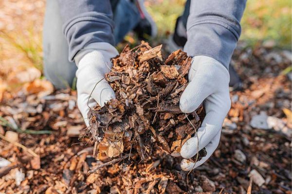 Mulch Sales Near Me