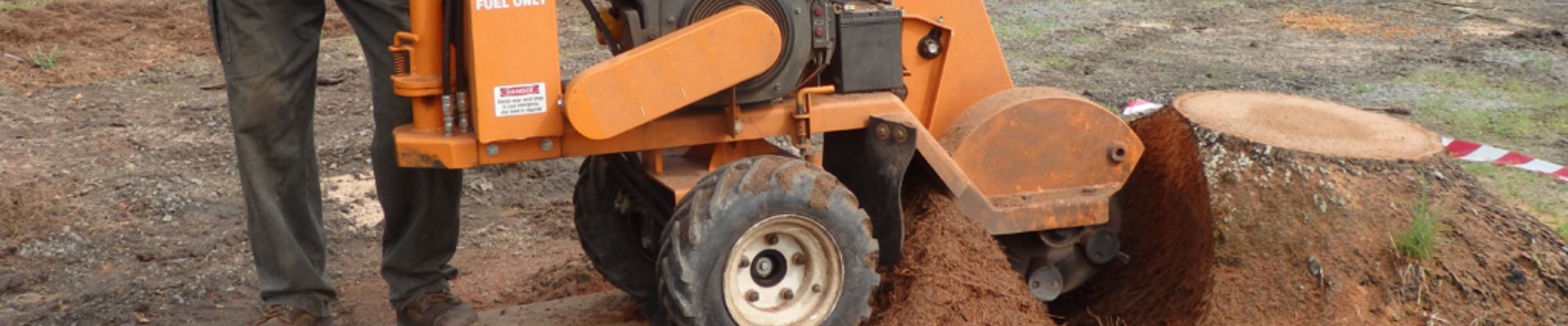 Stump Grinding Near Me
