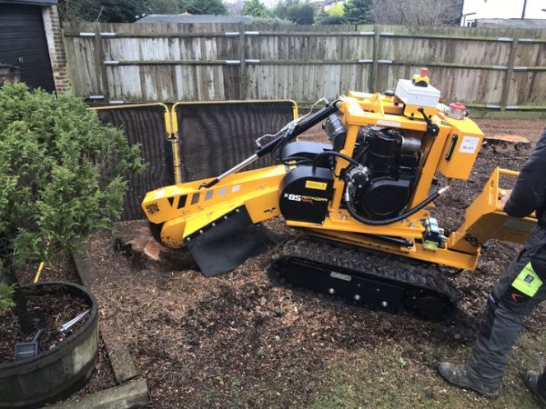Stump Removal Near Me