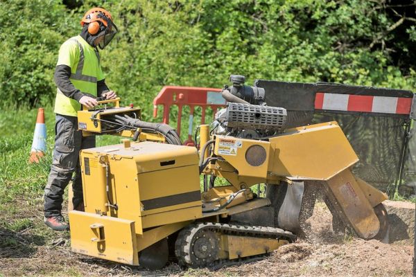 Stump Grinding Services Near Me
