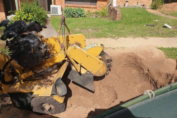 Stump Grinding Services Near Me