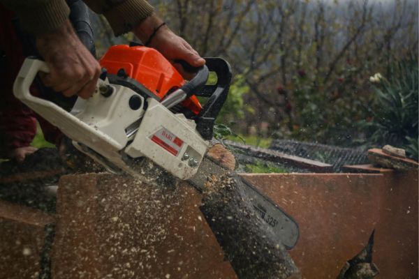 Stump Grinding Near Me