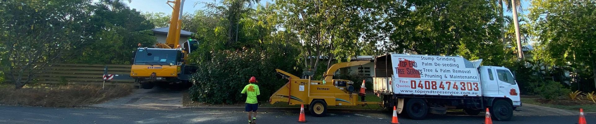 Tree Removal Near me