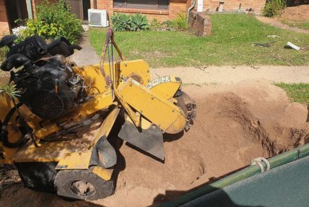 Stump Removal Bayview