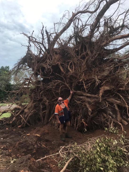 Tree Services Darwin